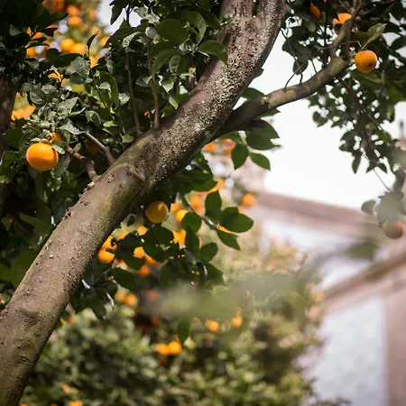 Quinta Sao Miguel De Arcos Arcos (Vila do Conde)