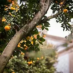 Quinta Sao Miguel De