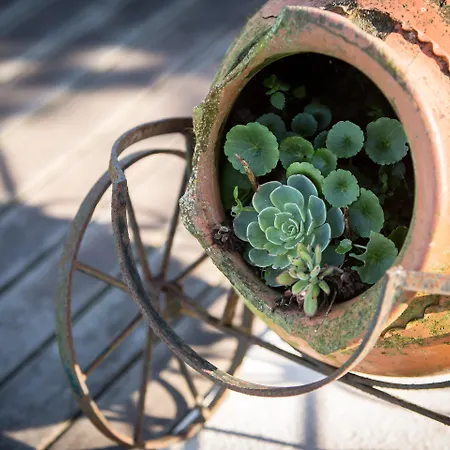 Quinta Sao Miguel De Guest house