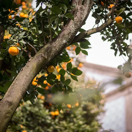 Quinta Sao Miguel De