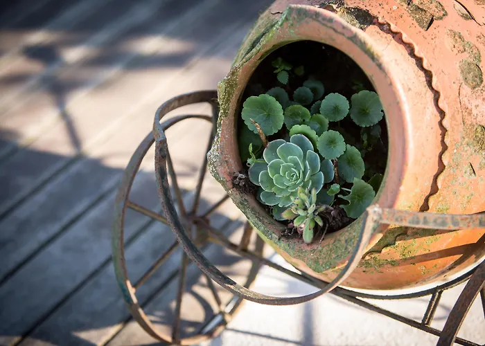 Quinta Sao Miguel De Pensión