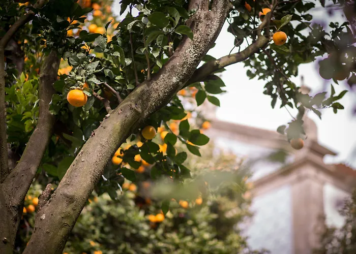 Quinta Sao Miguel De